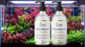 Two bottles of Schops Aquatics PlantBoost Elite Pro in front of an aquarium with plants.